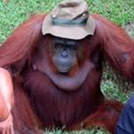 Profile Picture of nigel bradley (@nigelbradley6751) on Instagram