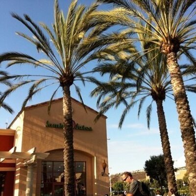 Profile Picture of Sarah (@Abend_Epo2ne) on Twitter