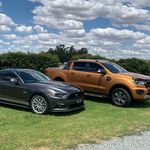 Profile Picture of Craig Mckenzie (@mltequine) on Instagram