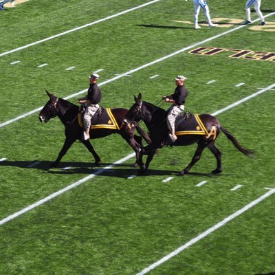 Tom Gatti - Twitter Profile Picture of Tom Gatti (@thegatzter) on Twitter