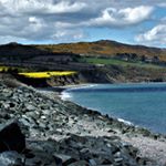 Profile Picture of Pascal Ilie Virgil (@pascalilievirgil) on Instagram