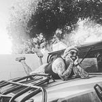 Profile Picture of Rene Rodriguez (@rene.the.great) on Instagram