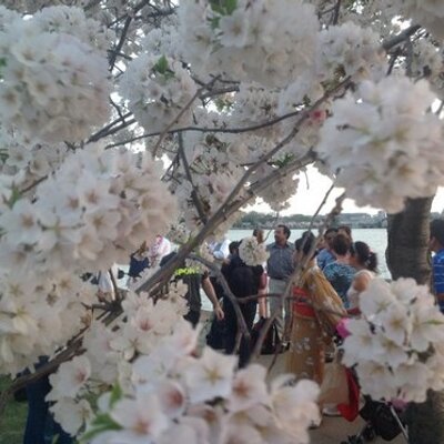 Profile Picture of Mauricio Chicas (@chicas_mauricio) on Twitter