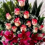 Profile Picture of Diana Mattos (@diana.mattos.221604) on Facebook