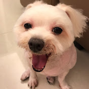 Profile Picture of Hsiao Chien Chiu (@celinechiu0809) on Youtube