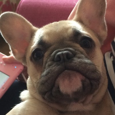 Profile Picture of John Beardmore (@JohnBeardmore1) on Twitter