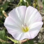 Profile Picture of Rita Lawson (@Rita-Lawson) on Facebook