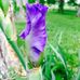 Profile Picture of Danielle Graff (@danielle.graff.739) on Facebook