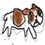 Jose Pastrana - Flickr Profile Picture of Jose Pastrana (@jose pastrana) on Flickr