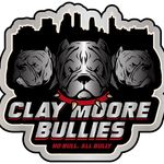 Profile Picture of Larry Curtis II (@clay_moore_bullies) on Instagram