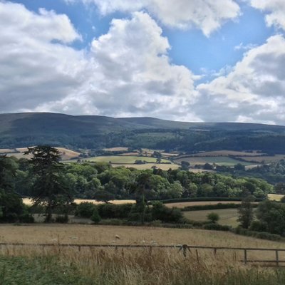 Profile Picture of Stephen Dunton (@StephenDunton) on Twitter