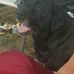 Profile Picture of Joshua Conroy (@joshua.conroy.37) on Facebook