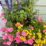 Profile Picture of Rita Berndt (@Rita-Berndt) on Facebook