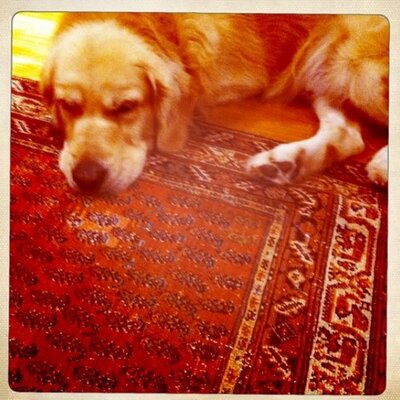 Profile Picture of Christine Teo (@ChrisTeoSM) on Twitter