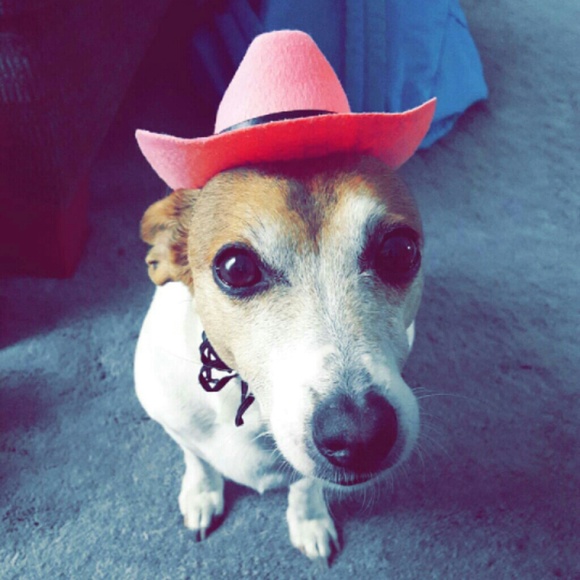 Profile Picture of Elizabeth Eilers (@elizabetheilers) on Poshmark