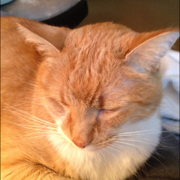 Profile Picture of Liz Fothergill (@kizzy14) on Poshmark