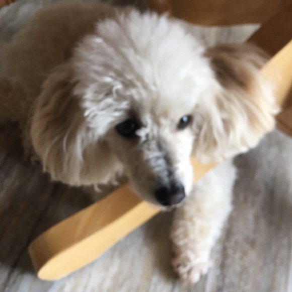 Profile Picture of Kim Napolitano (@nappa4) on Poshmark