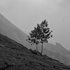 Profile Picture of Milind Joshi (@Light 'N Shadows) on Flickr