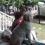 Profile Picture of Shirley Farrell (@farrell_shirley) on Instagram