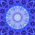 Profile Picture of Shaun Gibbons (@shaung_isg) on Instagram