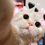 Profile Picture of ᴊᴀᴋᴇ.,ᵐᵃʸᵃ༉ (@hi.sunshine_) on Instagram