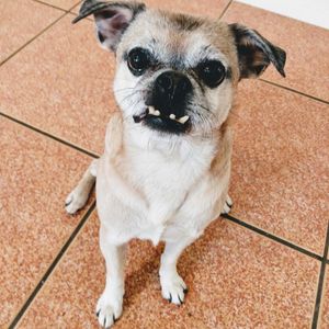 Profile Picture of Mark Cruz (@xforevermylovex) on Myspace