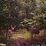 Profile Picture of Glenn Rollins (@glennrollins) on Instagram