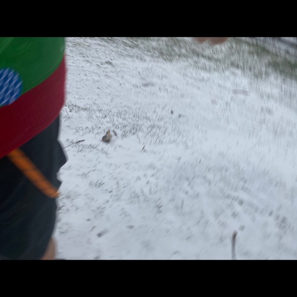 Profile Picture of Ben Piscopink (@benpiscopink) on Poshmark