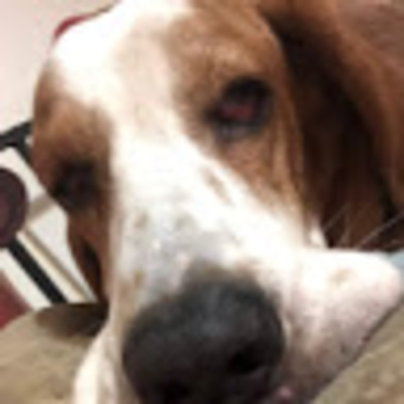 Profile Picture of Buffy Smith (@buffysmith924) on Poshmark