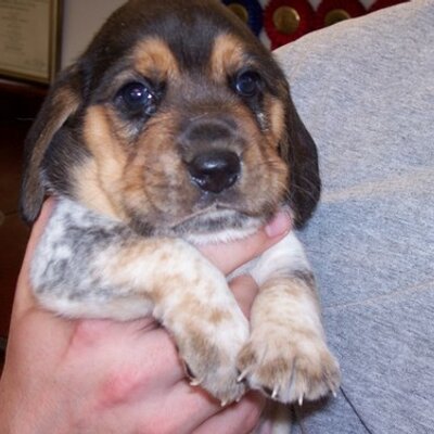 Profile Picture of Beth McDonald Tobin (@BethyMcT) on Twitter