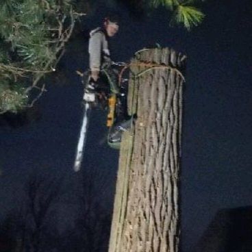 Profile Picture of Matthew Marlow33 (@matthewmarlow3) on Tiktok