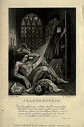 Profile Picture of Frankenstein's Promethean dimensionon Wikipedia