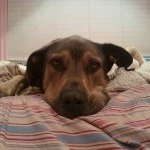 Profile Picture of Amy Marsing (@amymarsing) on Instagram