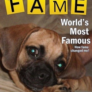 Profile Picture of Dave Petri (@davepetri) on Myspace