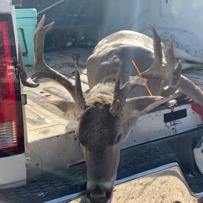 Profile Picture of Rusty Robertson (@RustyRobertso10) on Twitter