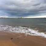 Profile Picture of Neil Oliver (@neil_oliver_) on Instagram