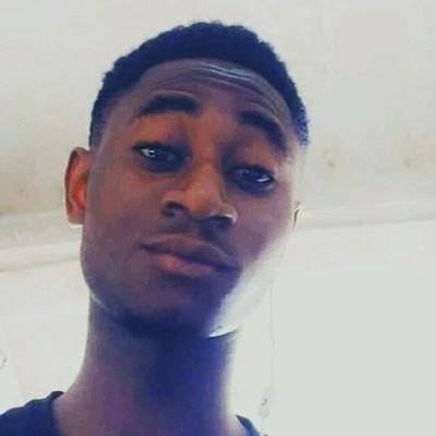 Profile Picture of Raymond Palm (@RaymondPalm7) on Twitter