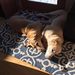 Profile Picture of Robin Plank (@robinplank2) on Pinterest