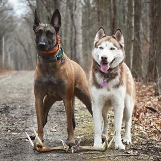 Profile Picture of Macy McFarland (@macy.mcfarland.7) on Facebook