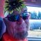 Profile Picture of Bryan Williams (@bryan.williams.5268) on Facebook
