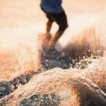 Profile Picture of Casey WEIR (@weir2956) on Instagram