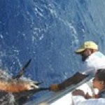 Profile Picture of Andrew Langlois (@pickleantigua) on Instagram