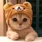 12 🤐 (@juix_) TikTok | 12... - Tiktok Profile Picture of   12 🤐 (@juix_) TikTok | 12... (@juix_) on Tiktok