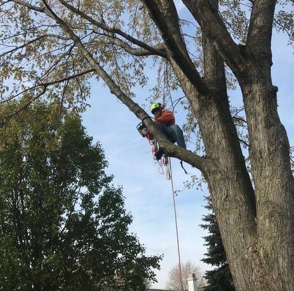 Profile Picture of Chris Marion (@rollincoal0519) on Poshmark