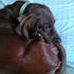 Profile Picture of Cooper Walters (@cooper.walters.94) on Facebook