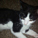 Profile Picture of Alexia Haynes (@haynesalexia) on Instagram