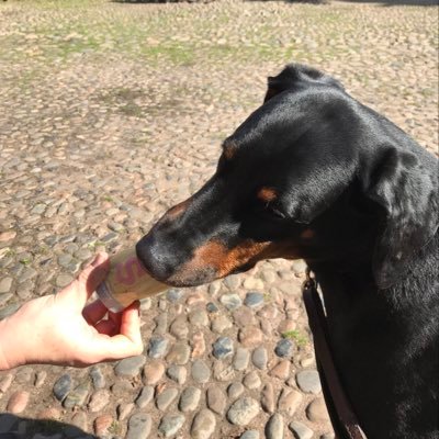 Profile Picture of Simon Adams (@simonadams19821) on Twitter