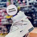 Profile Picture of Nelson Brain (@nelsonbrain803) on Instagram