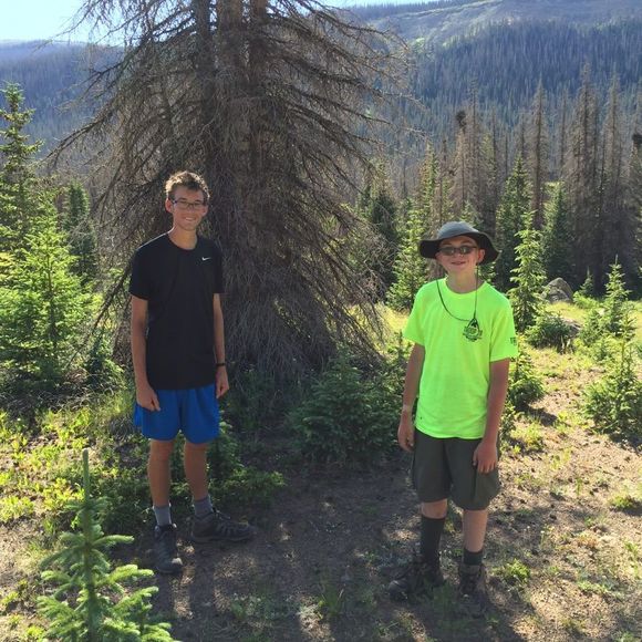 Profile Picture of Shawna Hart (@new01hart) on Poshmark