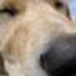 Profile Picture of Dave Michuda (@jake potato) on Flickr